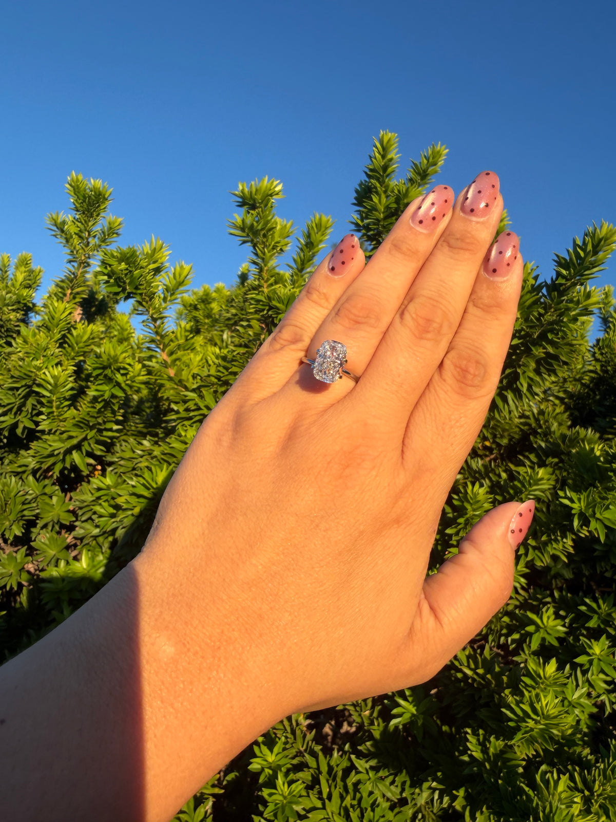 Cushion Modified 4.8ct F VS1 - Loose Diamond